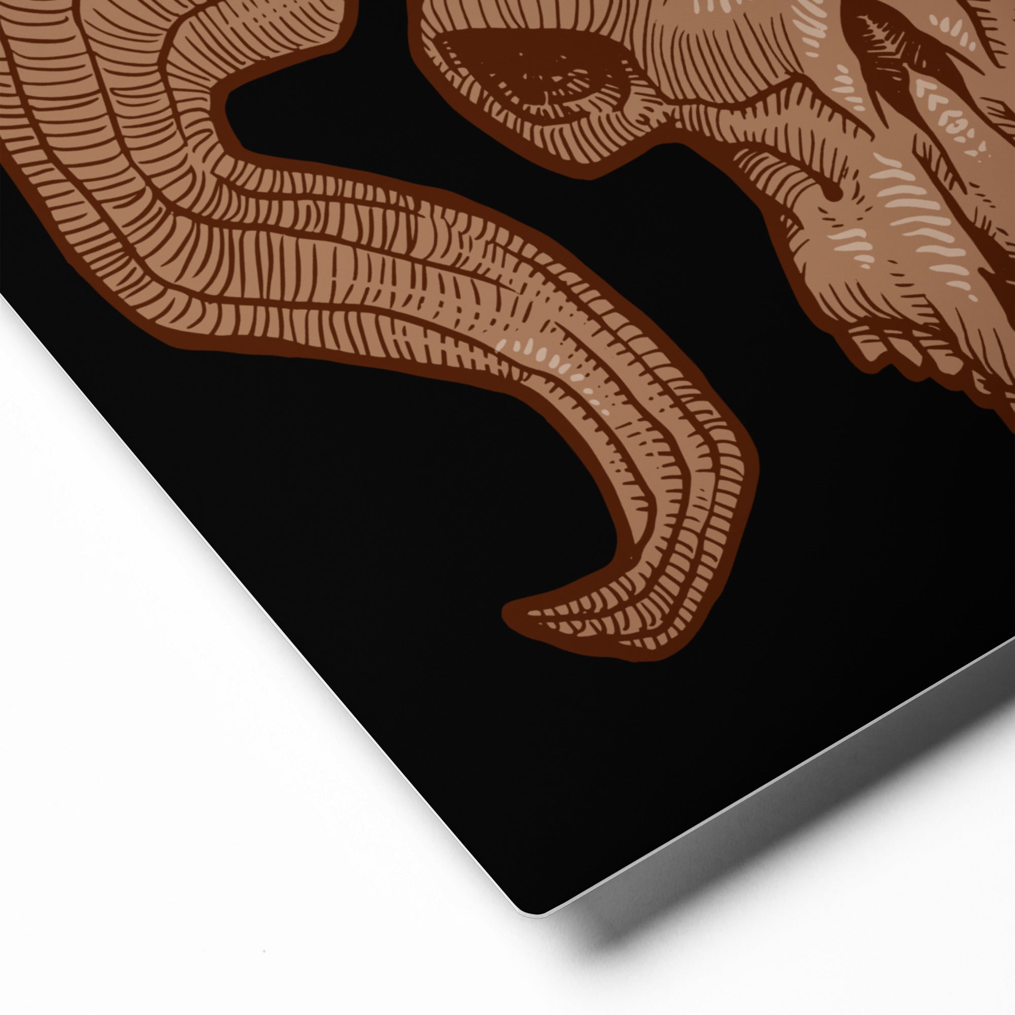 Enigmatic Ram